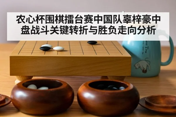 go board game stones